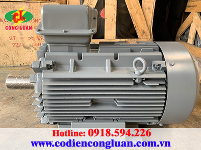 Các loại motor điện