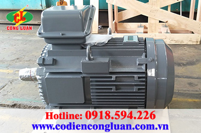 Motor điện xoay chiều 3 pha