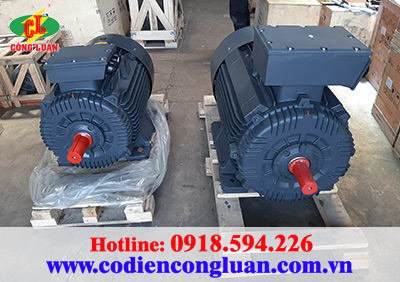 Các loại motor điện