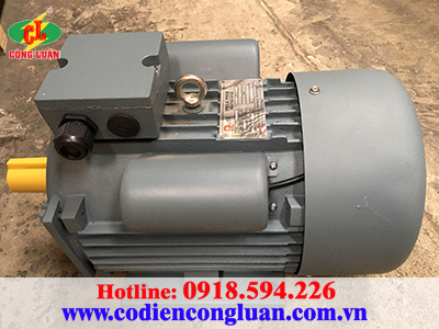 Các loại motor điện