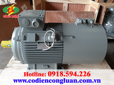 Các loại motor điện