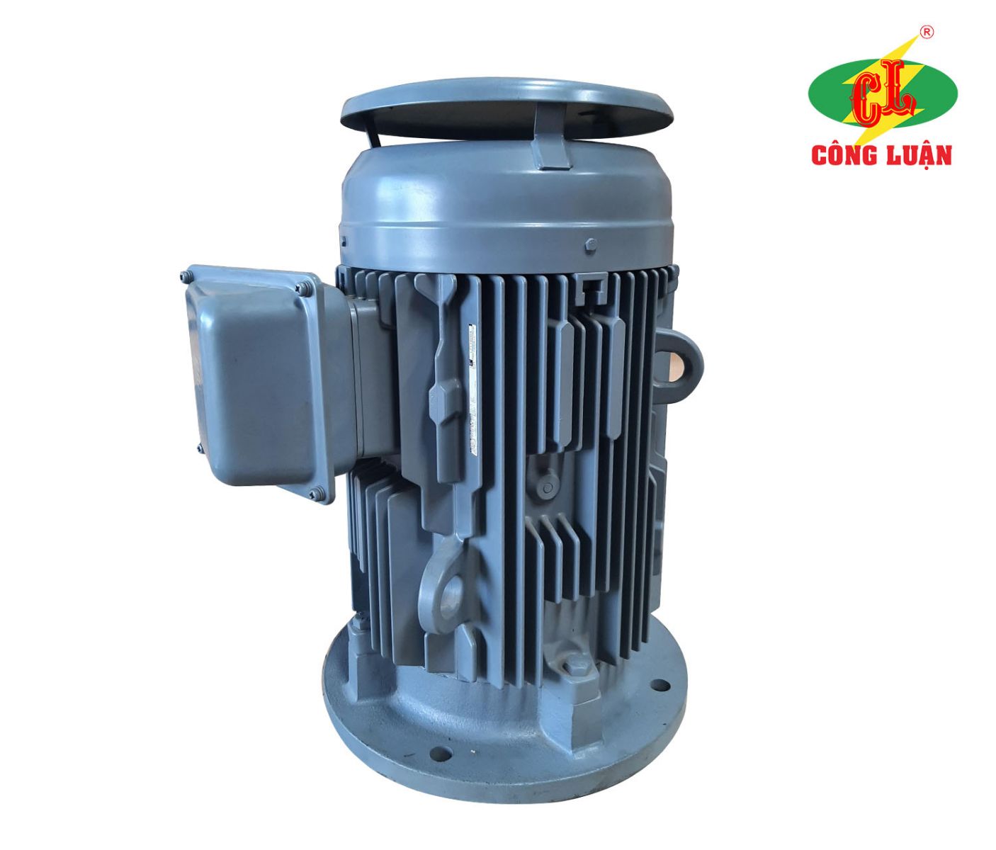 motor hitachi mặt bích