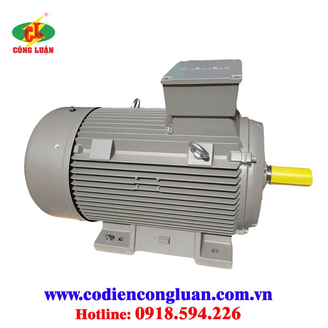 Motor điện Seimens 110kw